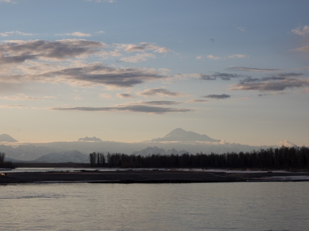 View of Denali from Talkeetna