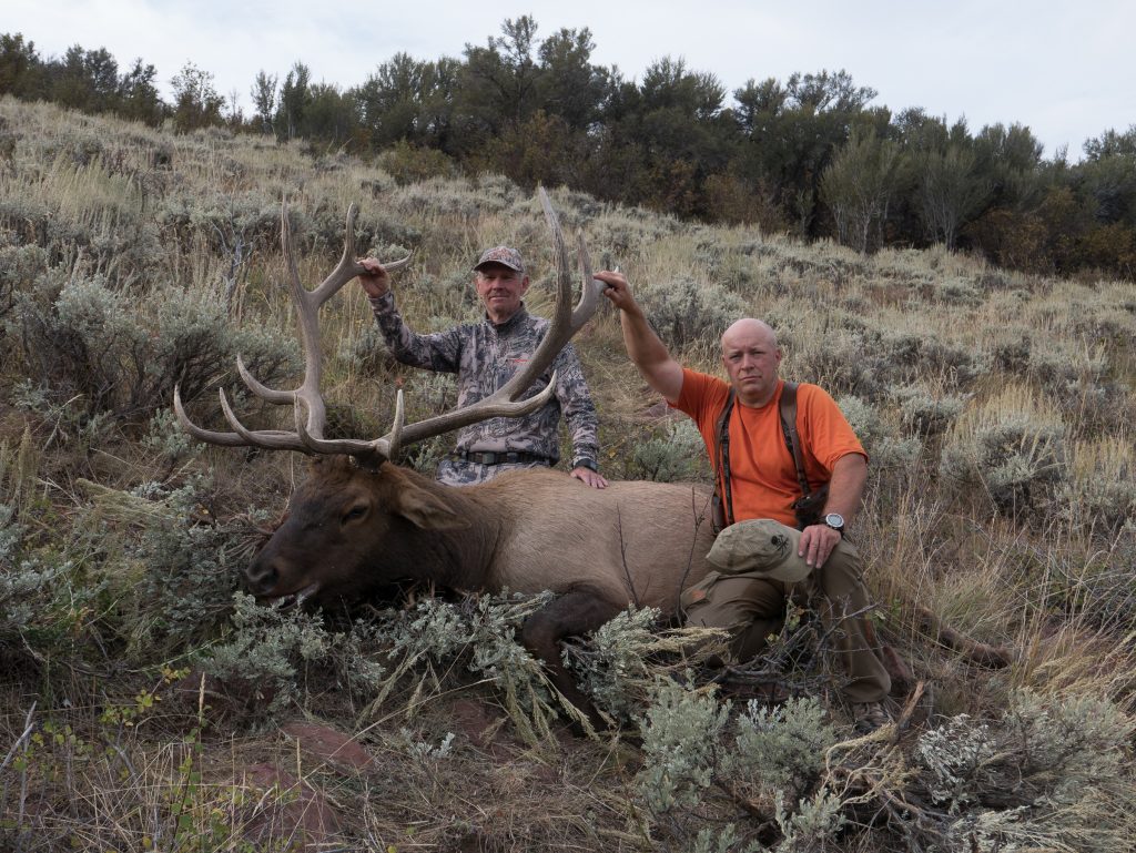 Elk Down! Now the hard work of meat hauling is about to begin