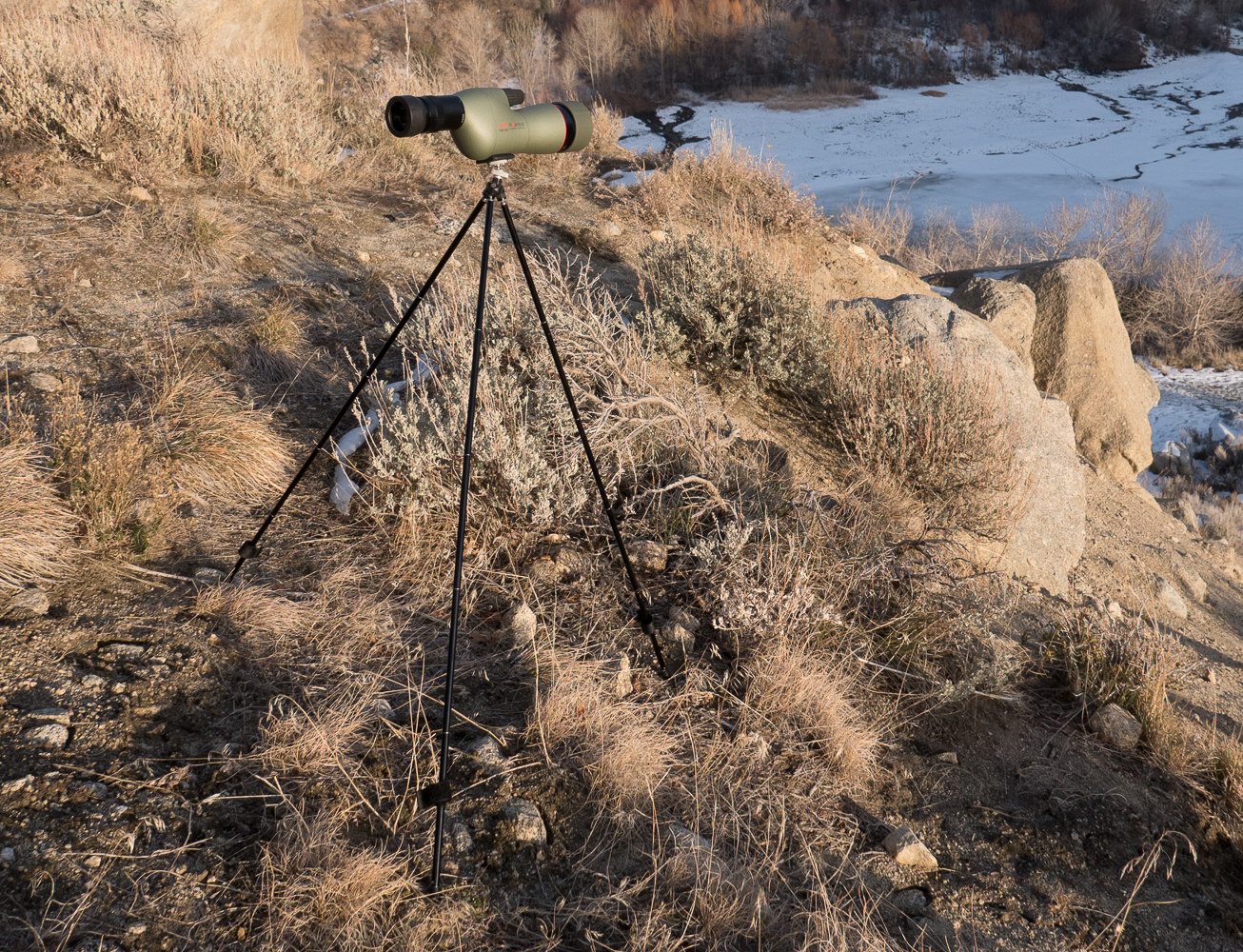 lightweight binocular tripod