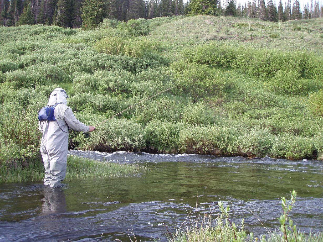 Backcountry Fly Fishing Gear Reviews